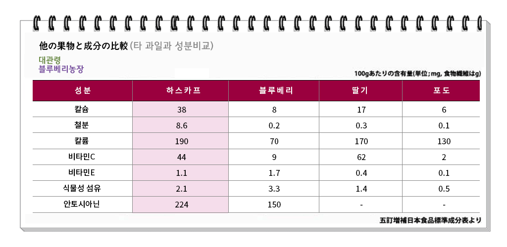 성분비교표